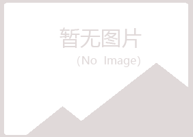 开平紫山化学有限公司